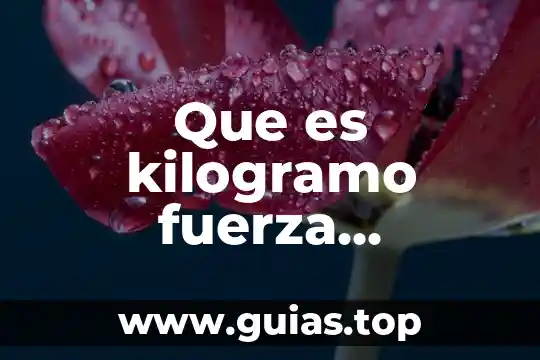 Qué es el concepto de fuerza 8 Que es kilogramo fuerza centímetro