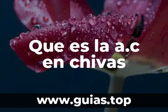 Que es mejor color o full house 4 Que es la a.c en chivas