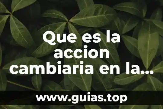 Que es el cambio dd look 8 Que es la accion cambiaria en la letra de cambio
