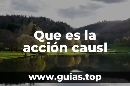 Que es la presentación y conclusión de un texto argumentativo 7 Que es la acción causl