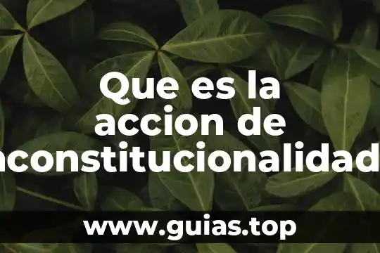 Por que es posible ver la estrella mas proxima 6 Que es la accion de inconstitucionalidad peru