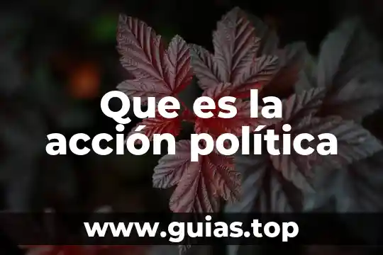 Que es un microorganismo en politica 7 Que es la acción política