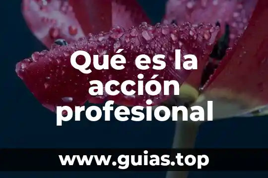 Que es el pensamiento y la acción estrategica 7 Qué es la acción profesional