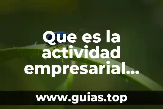 Que es ser un lider empresarial 3 Que es la actividad empresarial profesional