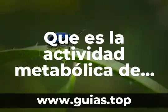 Que es el sistema oseo y como funciona 4 Que es la actividad metabólica de recambio ionico oseo