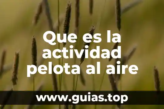 Qué es la actividad triptica 6 Que es la actividad pelota al aire