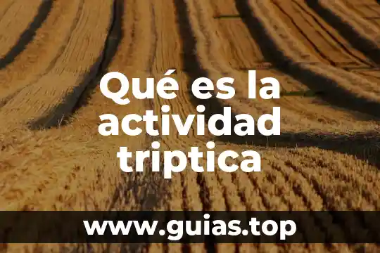 Que es actividad de rutina de actividad colectiva 3 Qué es la actividad triptica