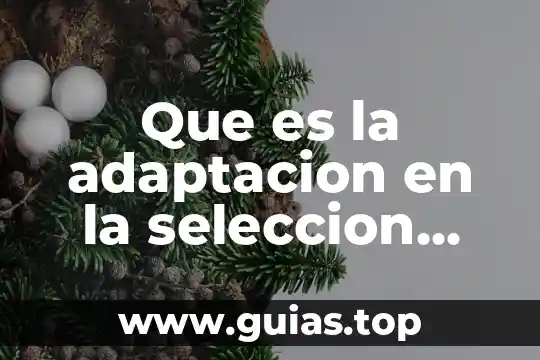 Qué es zanjar definición 7 Que es la adaptacion en la seleccion natural