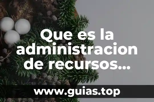 Qué es la jungla de la teoría de la administración 4 Que es la administracion de recursos materiales