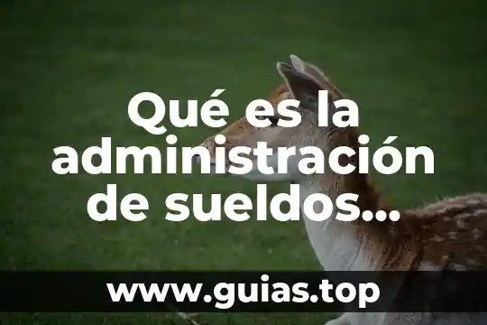 Qué es la teoría de salarios de David Ricardo 3 Qué es la administración de sueldos salarios y compensaciones
