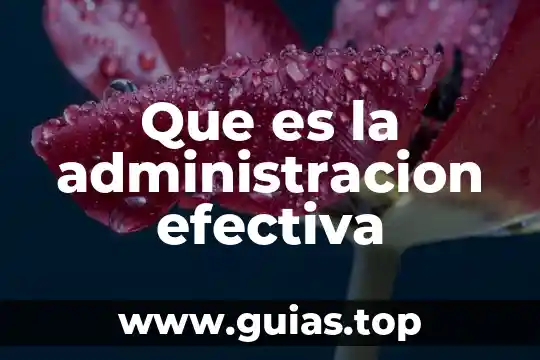 Que es la demanda del dinero segun keynes 4 Que es la administracion efectiva