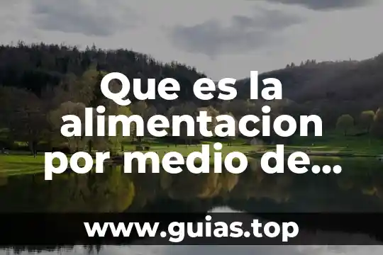 Que es medio en fisica 4 Que es la alimentacion por medio de la filtracion