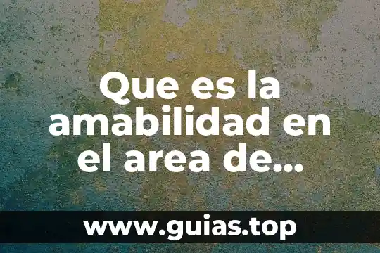 Qué es mejor una XV o un viaje 6 Que es la amabilidad en el area de salud