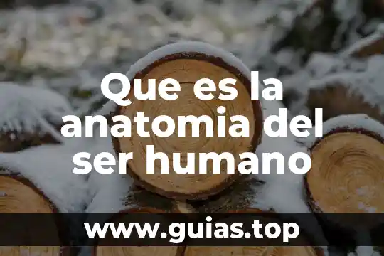 Qué es ser artero 5 Que es la anatomia del ser humano