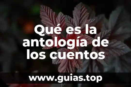 Que es una antologia concepto filosofico 5 Qué es la antología de los cuentos