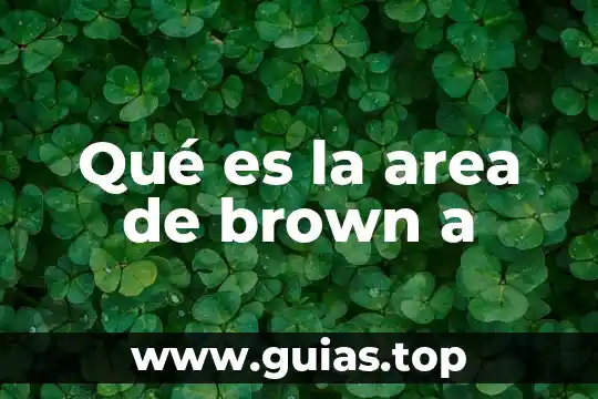 Que es area bianca 4 Qué es la area de brown a