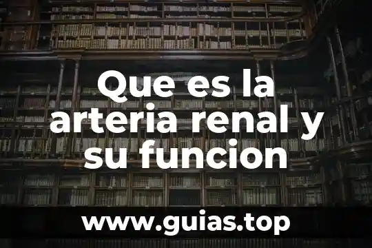 Qué es un cólico renal síntomas causas 5 Que es la arteria renal y su funcion