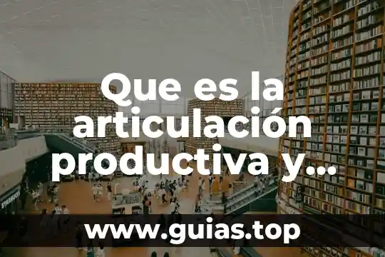 Que es un problema de articulación 5 Que es la articulación productiva y tipos
