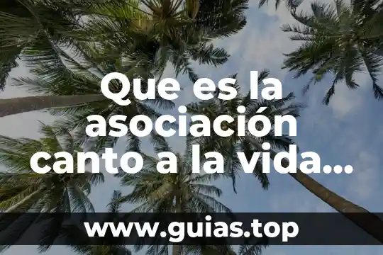 Que es mandala de la vida 3 Que es la asociación canto a la vida i.a.p