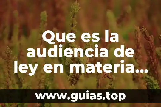Para que es la audiencia de control de la detencion 5 Que es la audiencia de ley en materia laboral