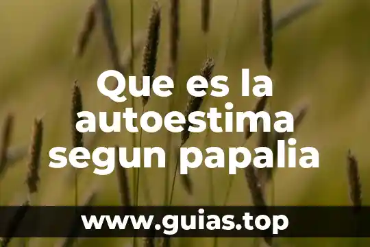 Que es autoestima rticulo cientifico 4 Que es la autoestima segun papalia