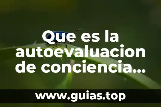 Según Marx, qué es la falsa conciencia 8 Que es la autoevaluacion de conciencia personal