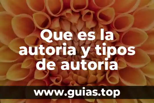 Que es natural por salud que ofrece dinero a madres solteras 8 Que es la autoria y tipos de autoria