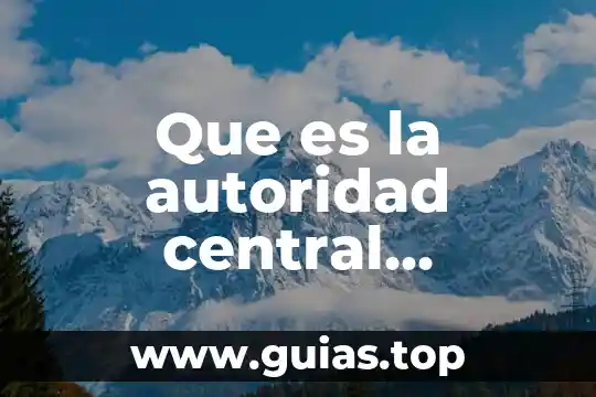 Que es proceso de delegación de autoridad 7 Que es la autoridad central mexicana