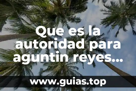 Que es proceso de delegación de autoridad 8 Que es la autoridad para aguntin reyes ponce
