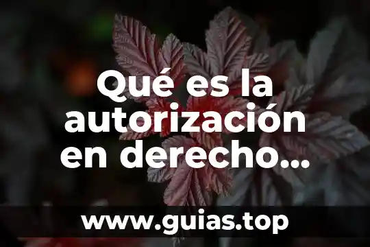 Define en derecho que es propiedad 4 Qué es la autorización en derecho administrativo