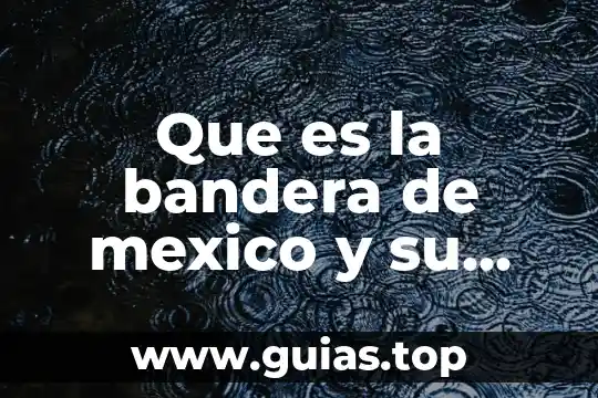 Que es locuaz significado 5 Que es la bandera de mexico y su significado