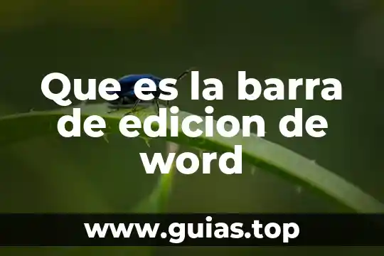 Que es una barra de planta 3 Que es la barra de edicion de word
