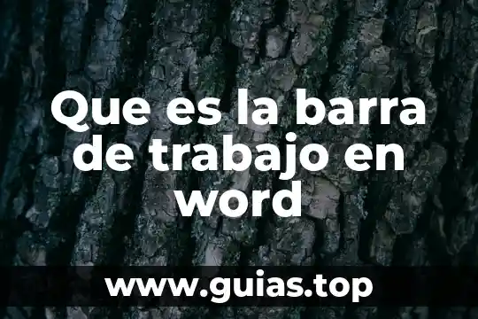 Qué es el bazo en el ser humano 5 Que es la barra de trabajo en word