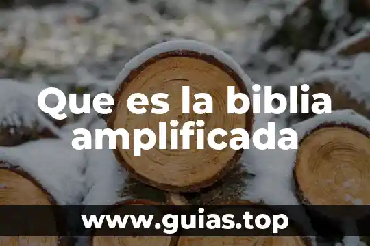 Que es la verdad pilatos biblia 5 Que es la biblia amplificada