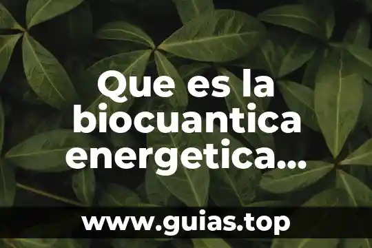 Por qué es importante la reforma energética de México 4 Que es la biocuantica energetica aplicada