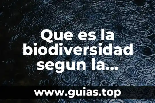 Que es la biodiversidad animal yahoo 3 Que es la biodiversidad segun la unesco