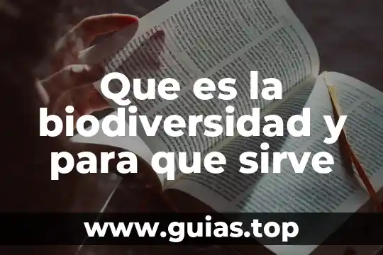 Qué es la biodiversidad concepto general 6 Que es la biodiversidad y para que sirve