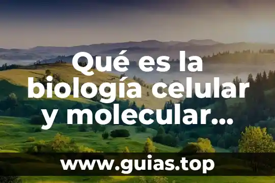 Interfase del ciclo celular que es 7 Qué es la biología celular y molecular concepto