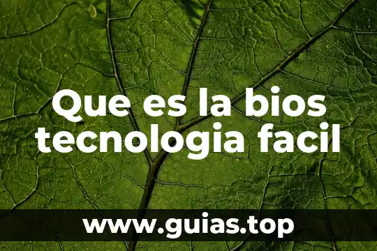 Que es pensamiento de diseño 3 Que es la bios tecnologia facil
