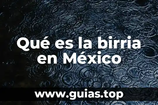 Que es la prorroga de la competncia mexico 7 Qué es la birria en México