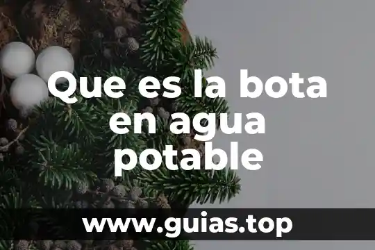 Qué es el agua potable y purificada 8 Que es la bota en agua potable