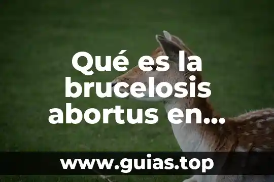 Qué es la fisiología del ser humano 6 Qué es la brucelosis abortus en humano