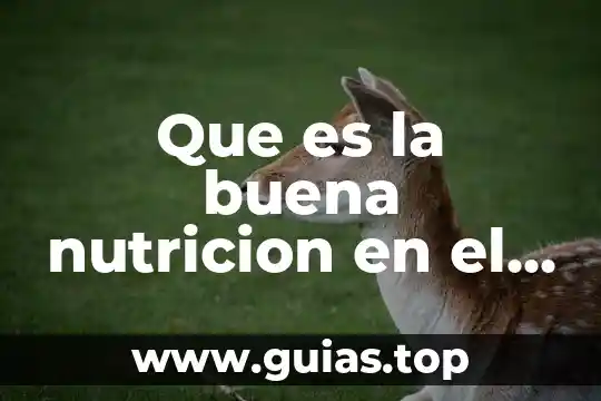 Qué es fdn en nutrición animal 6 Que es la buena nutricion en el deporte