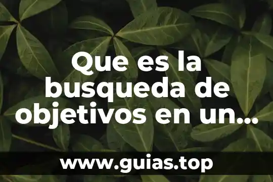 Tamayo que es plantear los objetivos 4 Que es la busqueda de objetivos en un proyecto