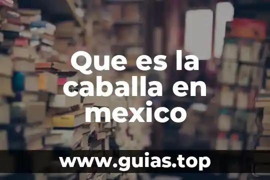 Qué es una dieta vegetariana definición 6 Que es la caballa en mexico