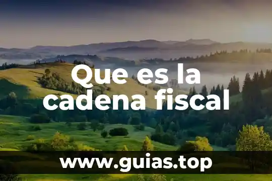 Qué es institución escolar definición 6 Que es la cadena fiscal