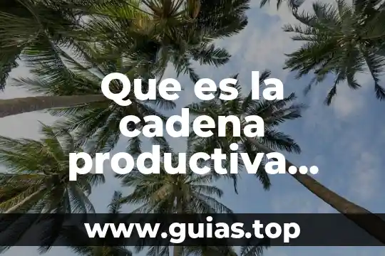 Qué es un número primo sexto grado 3 Que es la cadena productiva sexto grado