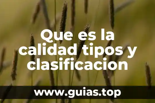 Qué es la familia y tipos de familia explicación 6 Que es la calidad tipos y clasificacion