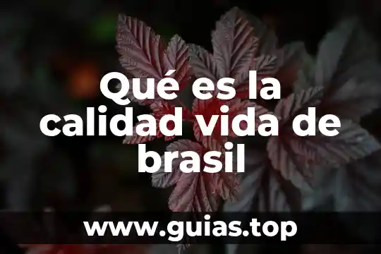 Qué es la calidad vida de brasil