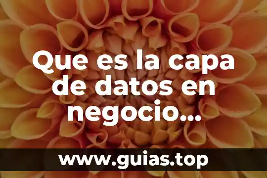 Por que es tan rica el agua 8 Que es la capa de datos en negocio electronico